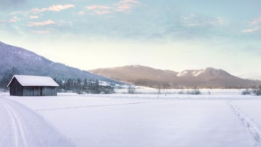 冬季雪景