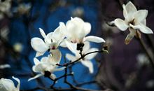 一次温暖的尝试