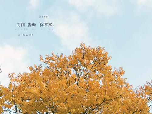 因为时间会给你答案