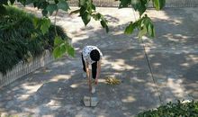 草坪上的小清洁工