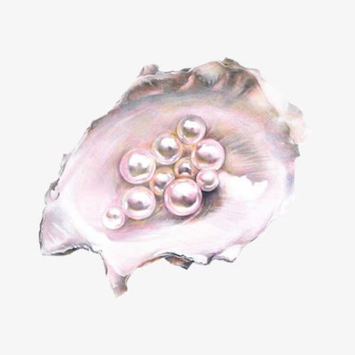 贻贝河和珍珠光泽