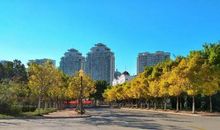 岁月静好，虹色最美