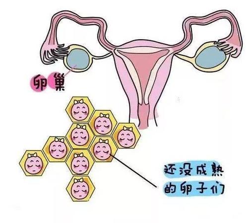 回忆童年的河