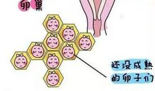 忆童年的那条河