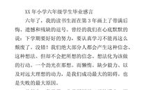 小学毕业感想