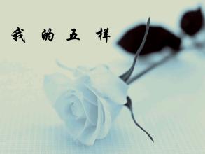 我的五个人生