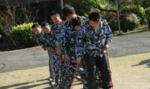 难忘素质拓展训练