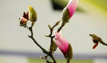 新的春天新的开始