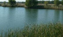 美丽的姜山湿地公园