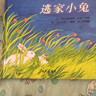 图画书失控的兔子模仿