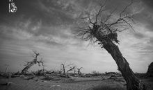 那么远却又这么近