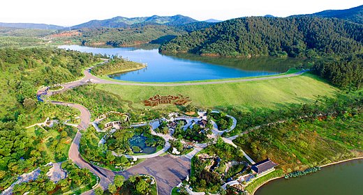 银杏湖公园