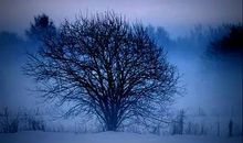 人生最美的风景