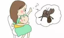 我和蚊子大作战