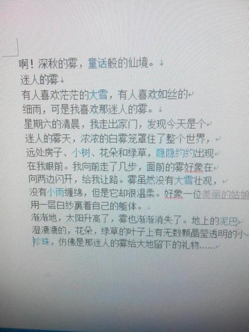 写关于雾的作文