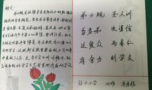 我家的传家宝作文