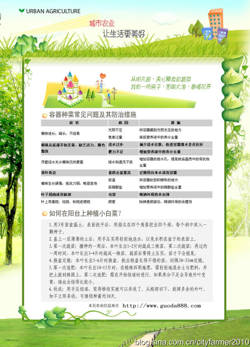 蔬菜种植使生活更美好