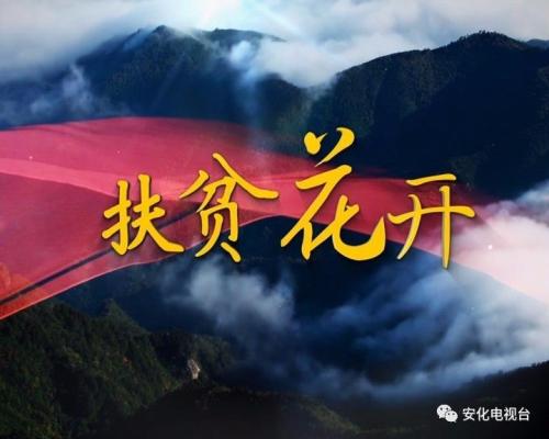 感恩节鲜花在扶贫之路上绽放