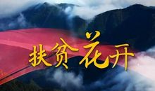 感恩的花开在扶贫路上