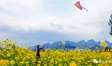 这个春天我很快乐