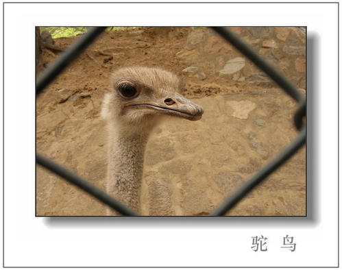 走进动物园