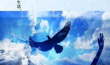 人生不过一千两百次月圆