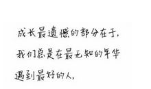 在我们这个年华