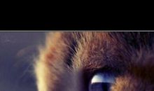 母亲眼里有星辰