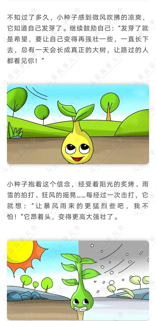 缝隙中的种子