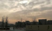 冬风初起的清晨