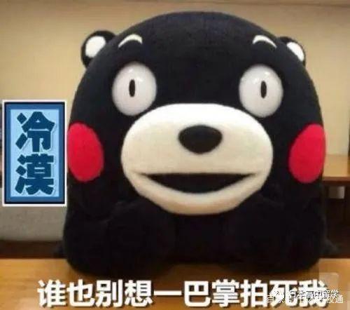 有趣的新名字
