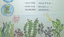 我最喜欢的节气