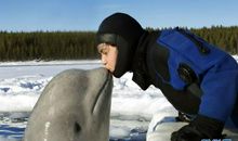 人与动物和平相处