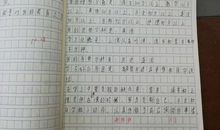 期中考试经验总结