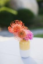 让友谊的花朵静静地绽放