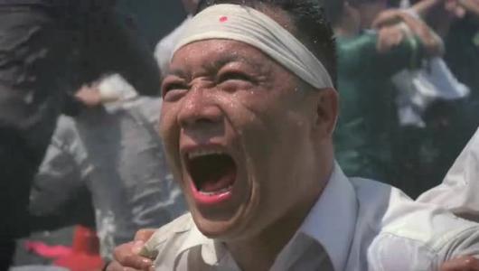 乌鸦的复仇