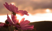 留在心底的一抹阳光