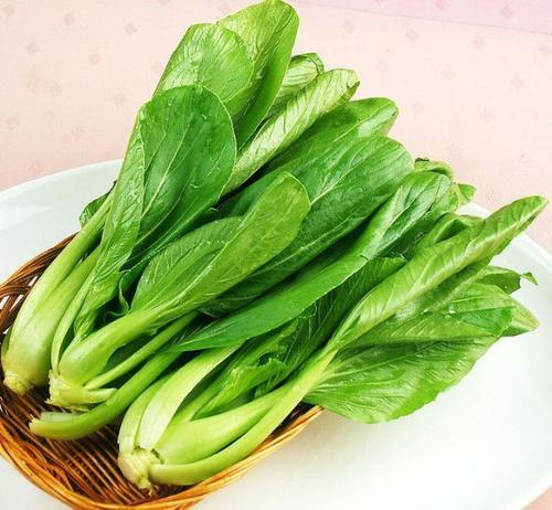 我喜欢吃蔬菜