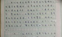 一个人的绝招的作文