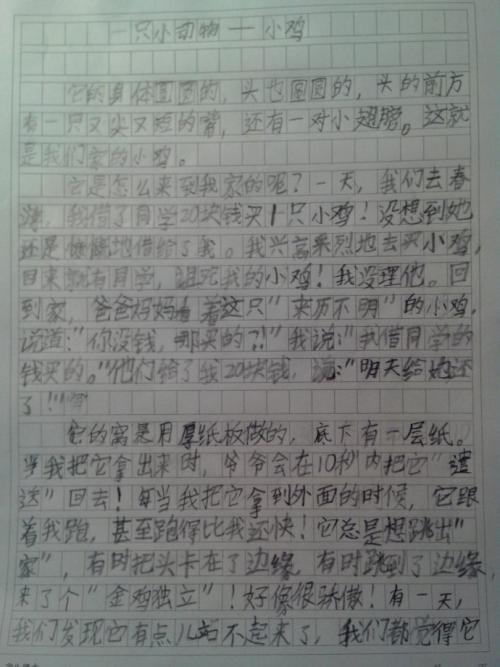 可爱的动物组成