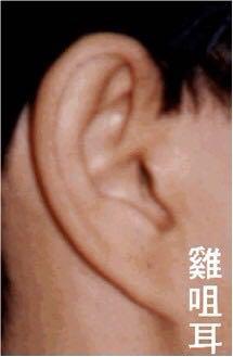 我发现了鸡肉的秘密