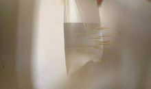 戳不破的塑料袋