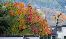 拾起感动的点滴