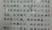 关于旅游的作文