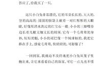 我喜欢的动物作文