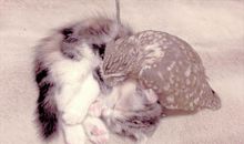 温暖我的那个瞬间