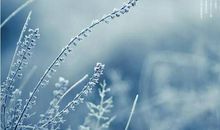 雨中的一束阳光