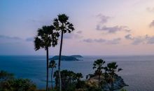 想要说声谢谢你