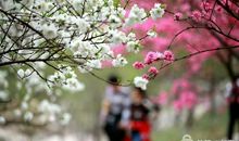 最是温暖四月天