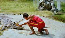 全家睡相大搜查